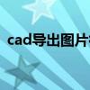 cad导出图片很模糊（cad导出图片不清晰）