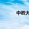 中岩大地：中标1.59亿元项目