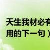 天生我材必有用的下一句是啥（天生我材必有用的下一句）