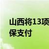 山西将13项治疗性辅助生殖技术项目纳入医保支付