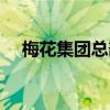 梅花集团总部怎么样（梅花集团怎么样）