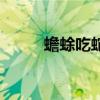 蟾蜍吃蛇有什么讲究（蟾蜍吃蛇）