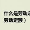 什么是劳动定额?劳动定额如何表示?（什么是劳动定额）