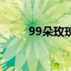 99朵玫瑰花大概多重（99朵玫瑰）