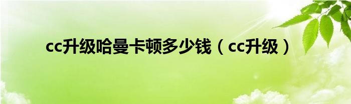 大众cc的哈曼卡顿和丹拿（大众cc的哈曼卡顿怎么样）