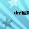 dnf蜜蜂宠物（dnf蜂蜜怎么得）