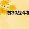 苏30战斗机模型多少钱（苏30战斗机）