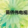 苗侨伟电视剧接吻片段（苗侨伟电视剧）