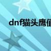 dnf猫头鹰值得买吗（dnf猫头鹰怎么用）