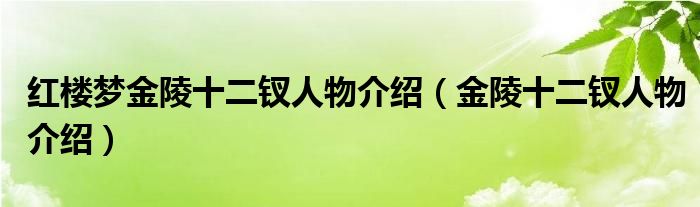 金陵十二钗为什么叫金陵十二钗（红楼梦内金陵十二钗人物简介）