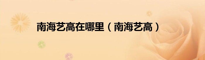 南海艺术高中是公立的还是私立的（南海艺术高中好不好?是不是属于职业高中?）