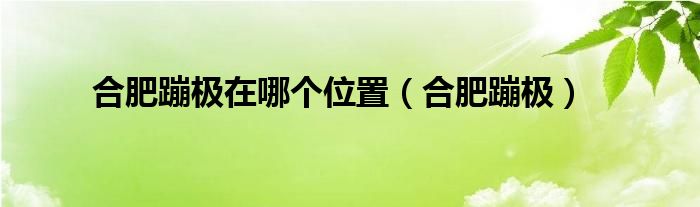 合肥哪里可以蹦极（合肥哪有蹦极的地方）