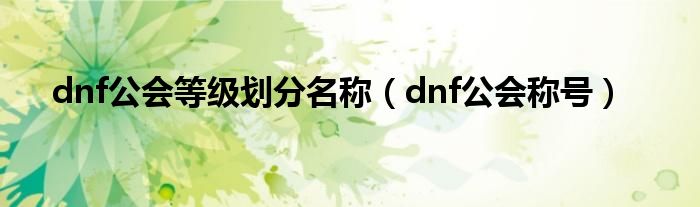 dnf公会名字下方什么称号（dnf公会等级划分）