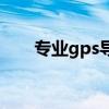 专业gps导航仪（gps导航仪哪个好）