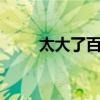 太大了百科（很大很太8游戏网站）