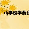 dj学校学费多少钱一年（dj学校学费多少）