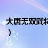 大唐无双武将技能及出处（大唐无双武将大全）