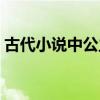 古代小说中公主的名字（古代公主名字小说）