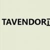 TAVENDOR正式亮相并公布其中文名为揽巡