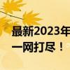 最新2023年显卡性能排行榜，顶级显卡性能一网打尽！